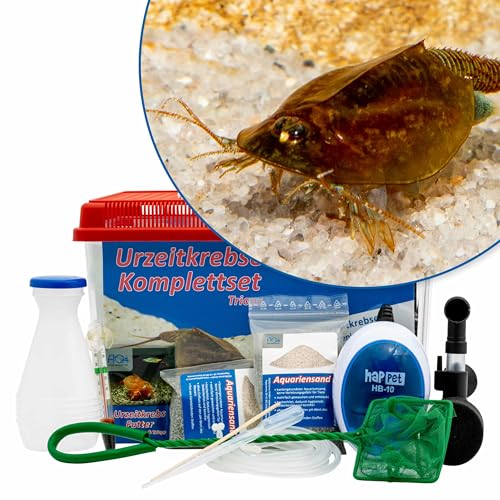 AQ4Aquaristik Triops Komplettset mit Urzeitkrebseiern: 6 l Aquarium, Zuchtansatz, Filter, Luftpumpe, Zubehör, Futter und Anleitung, Triops cancriformis