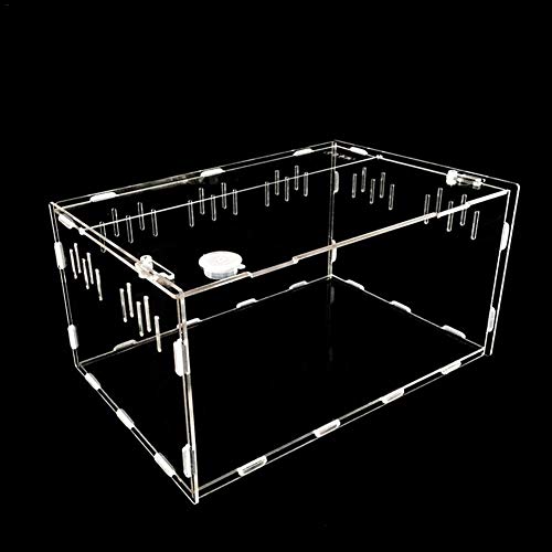 HTYG Reptilien Zuchtbox-Terrarium Transportbox-Transparente Acryl-Haustier-Reptilienbox-Tragbarer Reptilien-Terrarium-Lebensraum-Panorama-Insekten-Futterbox
