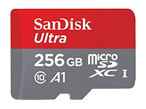 256GB SanDisk SDSQUAM-256G-GN6MA microSDXC Speicherkarte