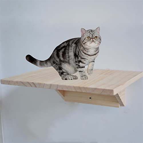 Kratzbaum für große Katzen, Wandrahmen für Katzen, Klettergerüst, solide, Katzenrahmen, Möbel, Verschiedene Katzengrößen (Größe: 25 cm x 40 cm) Vision