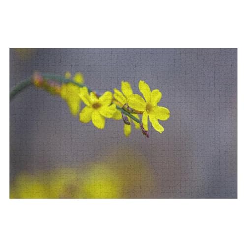 Yellow Daffodils, Petal，Wohnkultur Geburtstag ，Challenging Games Moderne Lernspiel Stress Relief ，1000 StüCk，，Lernspielzeug FüR Kinder 52x38Papier