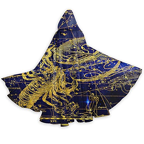 RFSHOP Mystic Tarot Astrologie Goldener Skorpion Halloween Kapuzenumhang Erwachsene Herren und Damen Umhang Cosplay Party Supplies Kleid Kleidung Geschenk Kostüme