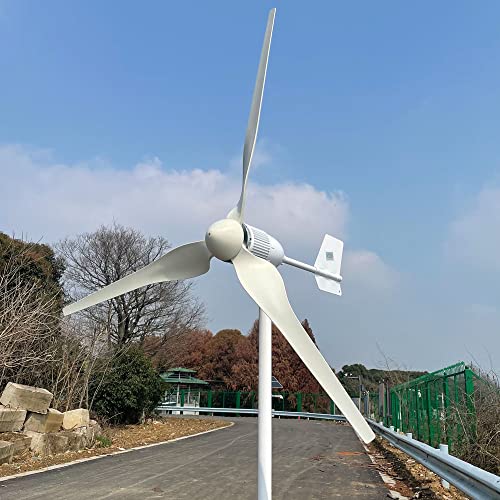 2000W Windkraftanlage Generator 2KW horizontal Windturbine hocheffizient 24V 48V 96V Windgenerator Windmühle (Mit Hybrid-MPPT-Controller, 24V)