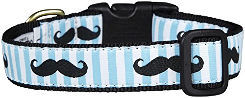 Up Country MUS-C-XS Mustache Hundehalsband, Schmal 5/8", XS