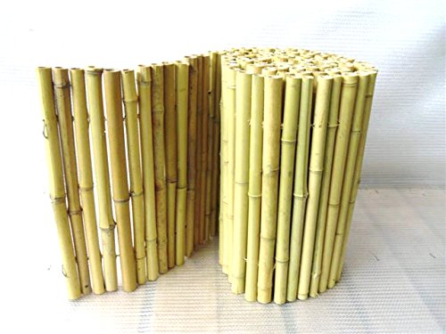 PflanzenFuchs Sichtschutz - Bambusmatte Weiß Heller Bambus Bambusrohr 35 x 200cm [3776]