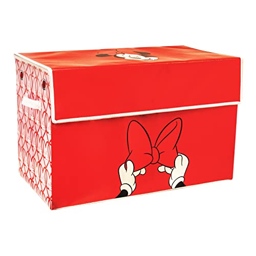 Disney Aufbewahrungsbox, Minnie Mouse Organizer-Behälter