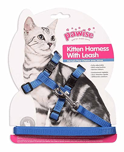 Pawise Kitten Harness Leash-Red/Blue