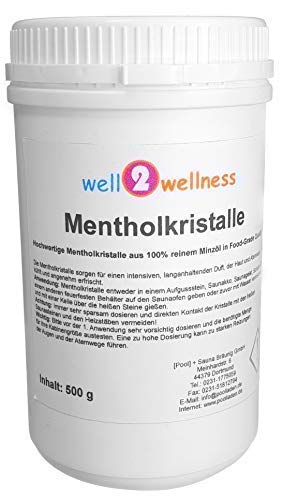 well2wellness® Mentholkristalle intensiv in einer 500g Dose - aus 100% reinem Minzöl gewonnen