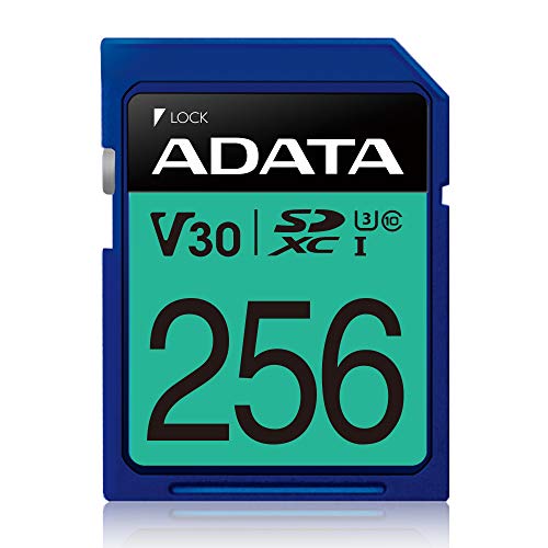 Premier Pro 256 GB SDXC, Speicherkarte