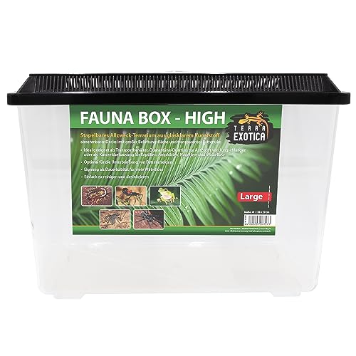 Fauna Box High & Flat (High, Large)