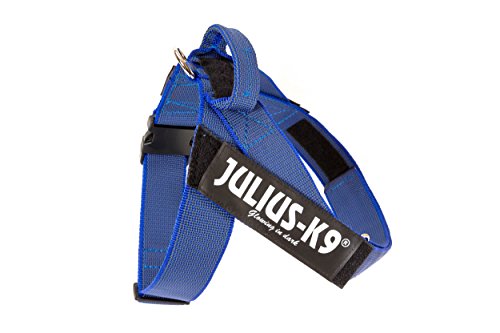 JULIUS-K9, 16503-IDC-B-15, Color&Gray IDC-Gurtbandgeschirr, Größe 3, blau-grau