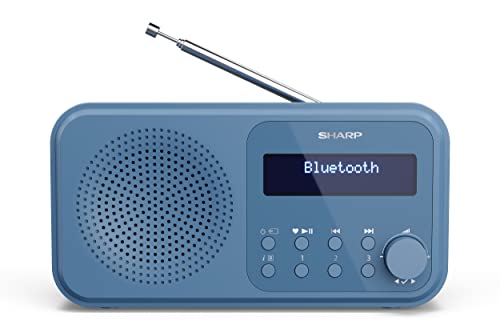 SHARP DR-P420 (BL) tragbares Digital-Radio Tokyo (DAB/DAB+/FM mit RDS, Bluetooth, USB- oder batteriebetrieben), Blau