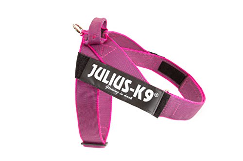 JULIUS-K9, 16502-IDC-PN-15, Color&Gray IDC-Gurtbandgeschirr, Größe 2, pink-grau