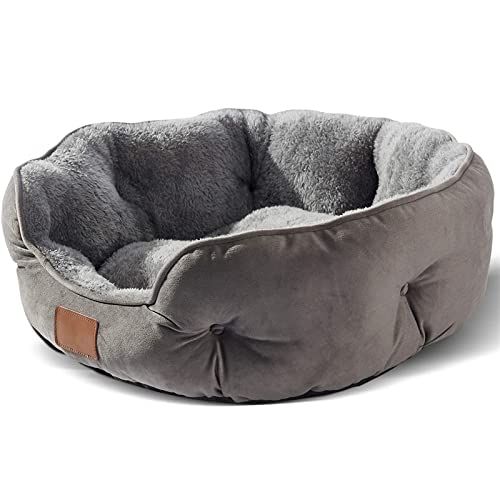 SHAIYOU Hundebett, Katzenbetten Für Indoor-Katzen, Haustierbett Für Welpen Und Kätzchen, Extra Weich Und Maschinenwaschbar Mit Rutschfestem Und Wasserabweisendem Oxford-Boden (L(60 * 60 * 20CM),Grey)