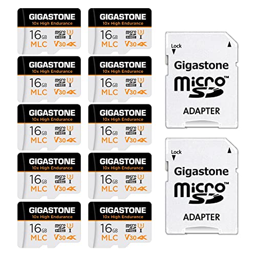 Gigastone 256 GB Micro-SD-Karte, Gaming Plus, kompatibel mit Nintendo Switch, High Speed 100 MB/s, 4K Videoaufnahme, Micro SDXC UHS-I A1 Klasse 10