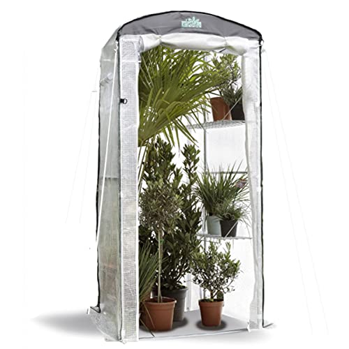 Bio Green Foliengewächshaus Patioflora 100" für Terrasse und Garten | ganzjährig einsetzbar | modular erweiterbar | UV-beständig | 4 Belüftungsöffnungen | 220 x 100 x 80 cm