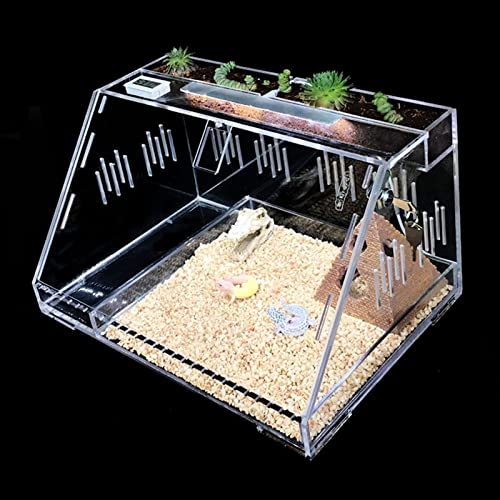 Transparentes Terrarium für Reptilien, Vivarium, Heim-Haustier-Futterbox, Tierhandlung, Eidechsen-Zuchtbox