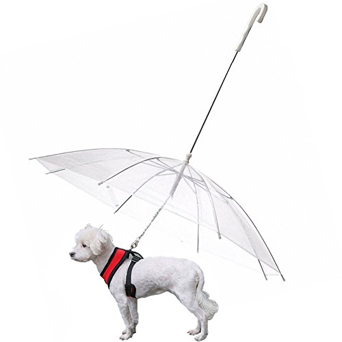 OMEM Hunde-Regenschirm mit Leine, regendicht, Durchmesser 77 cm