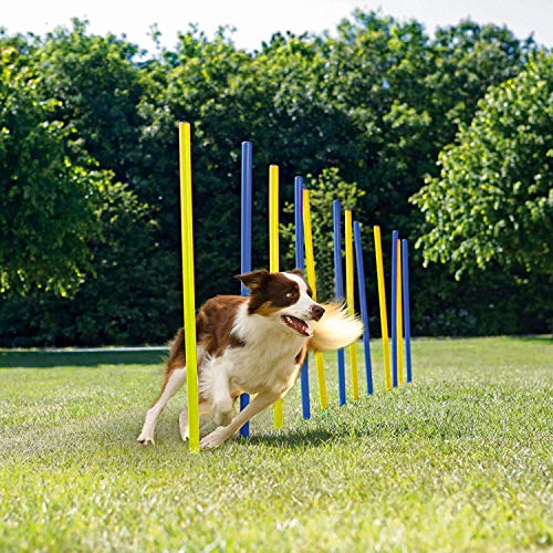Pet Prime Hunde-Agility-Ausrüstungs-Set – 12-teiliges Stangen-Set, Outdoor-Hund, Hindernis-Beweglichkeitstraining, Trainingsausrüstung
