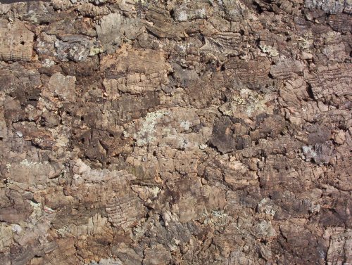 XXL Korkrückwand Natur 90x60 cm, Terrarium, Kork Rückwand, Dekor für Terrarien (92012), Zierrückwand Hintergrund
