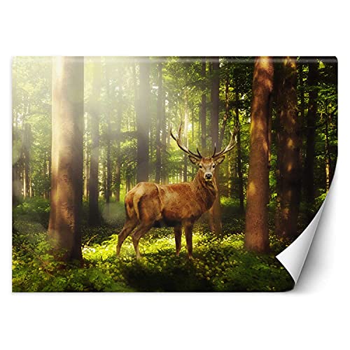 Feeby Wandtapete Fototapete Vlies Tier Hirsche Im Wald 250x175 cm Grün Modern Tapete Wohnzimmer Schlafzimmer Bäume Sonnenschein