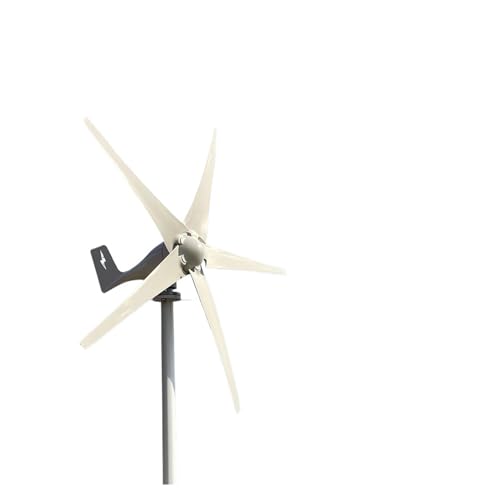 Windmühlengenerator Kleine Windkraftanlage, freie Energie, 3000 W, 48 V, 24 V, 12 V, 5 Flügel, Windmühlen, Wohnmobil-Yachtfarm for den Heimgebrauch Mehr Energieeinsparung (Size : White, Color : 24V