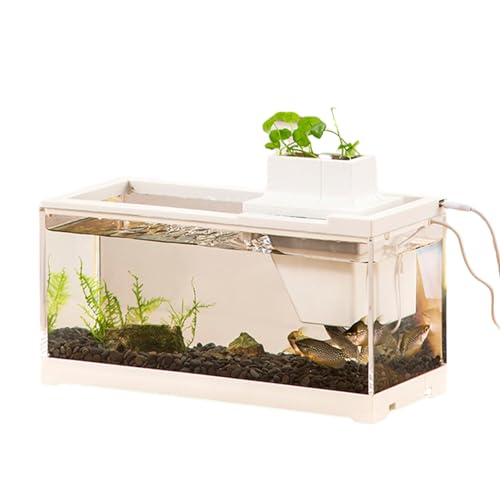 Desktop-Aquarium, Desktop-Fischaquarium-Pumpentank, leises Niederspannungs-Tischaquarium mit Wasserpumpe, auslaufsicheres kleines Aquarium für Tische, Schreibtische, Heimbüro