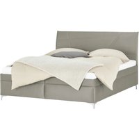 Polsterbett - grau - 186 cm - 110 cm - 215 cm - Betten > Doppelbetten - Möbel Kraft