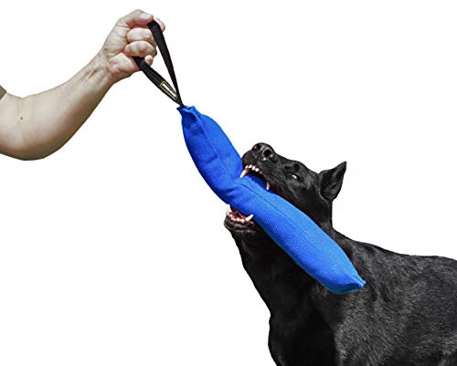 Dingo Gear Baumwolle-Nylon Beißwurst für Hundetraining K9 IGP IPO Obiedence Schutzhund Hundesport, 45 x 8 cm, 1 Griff Blau S00066