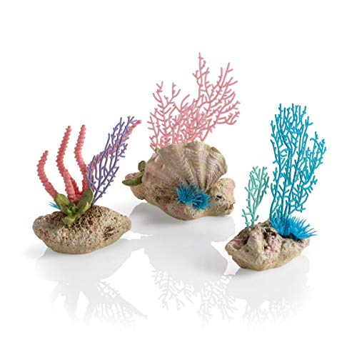 biOrb 72676 Korallenfächer & Muschel Set – naturnahe Aquariumdeko in Form von bunten Korallen auf Steinen | zur Gestaltung von Süßwasseraquarien und Meerwasseraquarien
