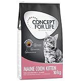 Concept for Life Maine Coon Trockenfutter für Kätzchen, 10 kg, für 4-15 Monate, mit Reis mit essentiellem Taurin