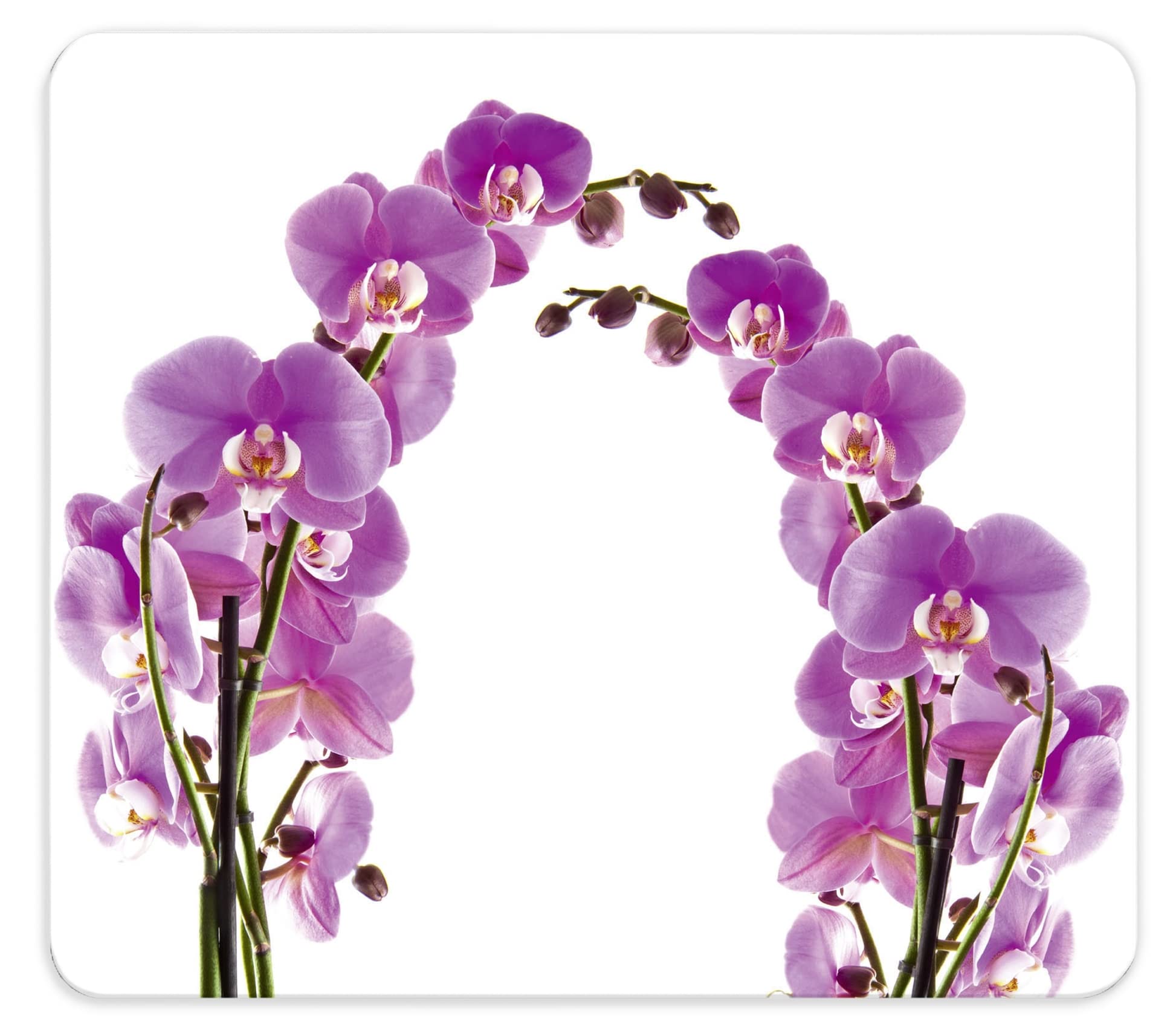 WENKO Multi-Platte Orchideenblüte, Herdherdabdeckplatte für Glaskeramik-Kochfelder, Wandblende oder Riesen-Schneidebrett, robust & schlagfest, inklusive 4 rutschfesten Füßen, 56 x 0,5 x 50 cm