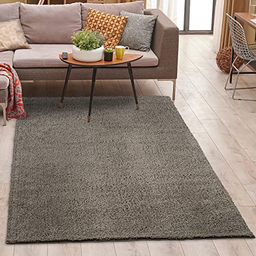 carpet city Shaggy Teppich Hochflor - 120x170 cm - Taupe Einfarbig - Weicher Wohnzimmerteppich Uni Modern - Polyester-Teppiche Soft Flauschig-Weich Schlafzimmer - Kinderzimmerteppich