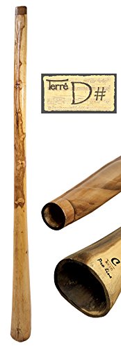 Didgeridoo Proline Eukalyptus in Ton DIS Länge 150-160cm professionell perfekte Toots Reisetasche Aborigines Australien Percussion