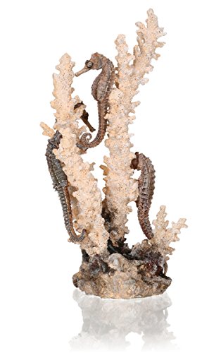 biOrb 55039 Seepferdchen natur M - Mittelgroße Seepferdchen-Skulptur mit Korallen zur individuellen Gestaltung von Süßwasseraquarien und Meerwasseraquarien