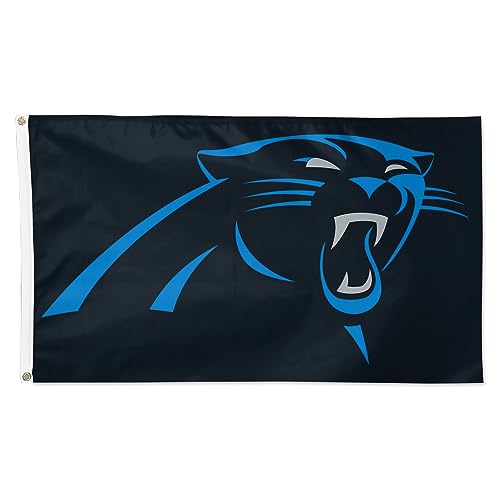 Wincraft NFL Flagge 150x90cm Banner NFL Carolina Panthers
