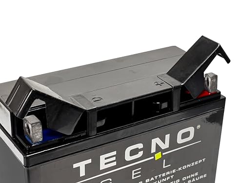 TECNO-GEL Motorrad-Batterie 51913 (51814) für BMW R 1200 C, CL, RT m/o ABS 1997-2014, 12V Gel-Batterie 22AH, 186x82x171 mm inkl. Pfand