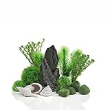 biOrb 48445 Decor Set 30L Stone Garden - Aquariendekoration mit realistischen künstlichen Wasserpflanzen, Wurzeln und Steinen für schönes Aquariendesign | für Süßwasser und Meerwasser geeignet
