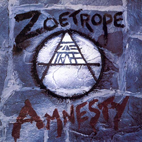 Amnesty (2lp Black Vinyl) [Vinyl LP]
