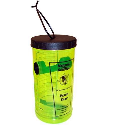 Swissinno Set 2x Insektenfalle Wespenfalle mit Lockstoff, Lockmittel zum Aufhängen, Hinstellen für Garten Terrasse Gelb