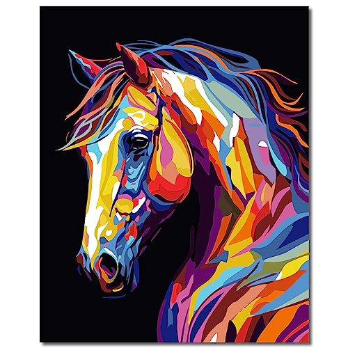 Heimstory Malen nach Zahlen mit Rahmen Pferde Tiere Erwachsene Kinder Jugendliche Leinwand Pinsel Acrylfarben Keilrahmen (Ramon)