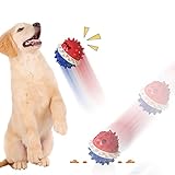 BTAISYDE Hund Dental Kauspielzeug für Aggressive Kauer, Haustier Zähne Training Stick Zähne Reinigung mit Hund Biss Seil Welpen Gummi Knochen Zahnbürste