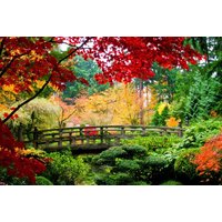 papermoon Vlies- Fototapete Digitaldruck 350 x 260 cm, Bridge in Japanese Garden