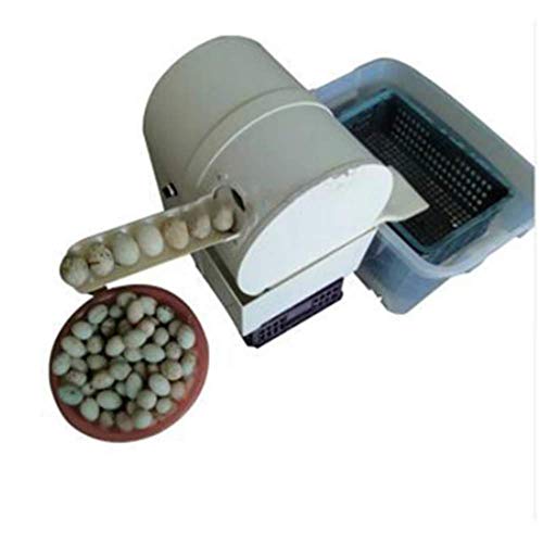 SISHUINIANHUA Plastikkörper Bürstenwasch Ei-Maschine/Reinigung Dirty Duck Eggs Maschine/Geflügel Egg Waschmaschine und sauberere