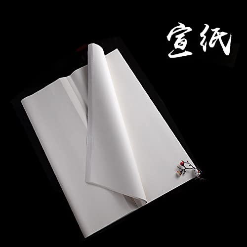 Xuan Paper Raw Xuan Ripe Xuan Zeichenpapier für Sumi-e Pinsel Chinesische Japanische Kalligraphie Praxis Schreiben Reispapier Sheng Raw Shu Ripe Xuan 100 Blatt
