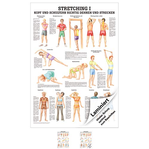 Stretching I Lehrtafel Anatomie 100x70 cm medizinische Lehrmittel