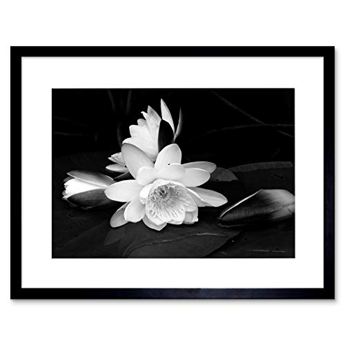 WHITE FLOWER BLOOM BLACK BACKGROUND FRAMED ART PRINT PICTURE B12X9435
