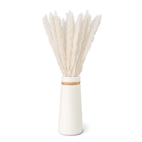 flature Pampasgras Weiß mit Vase - 30 Stiele Trockenblumen mit Keramik Vase Weiß Matt als Frühlingsdeko, Getrocknete Blumen für Wohnzimmer, Hochzeit, Gesteck, Kranz, Tischdeko
