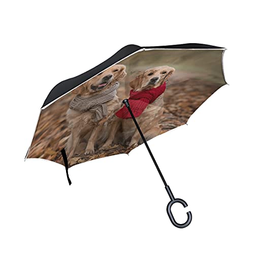 hengpai Zwei Golden Retriever Hunde Trockene Blätter Schal umgekehrt auf links gedreht Regenschirm Autos Unigue Winddicht UV Beweis Doppellagig für Frauen