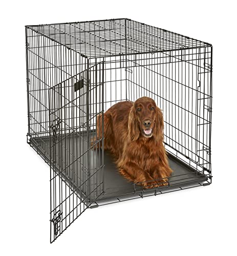 YEKE Midwest Homes for Pets Midwest 1524 iCrate-Hundekäfig mit Einzelklappe (106,68 x 71,12 x 76,2 cm)